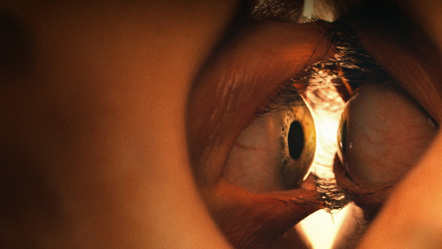 Постер Одно целое